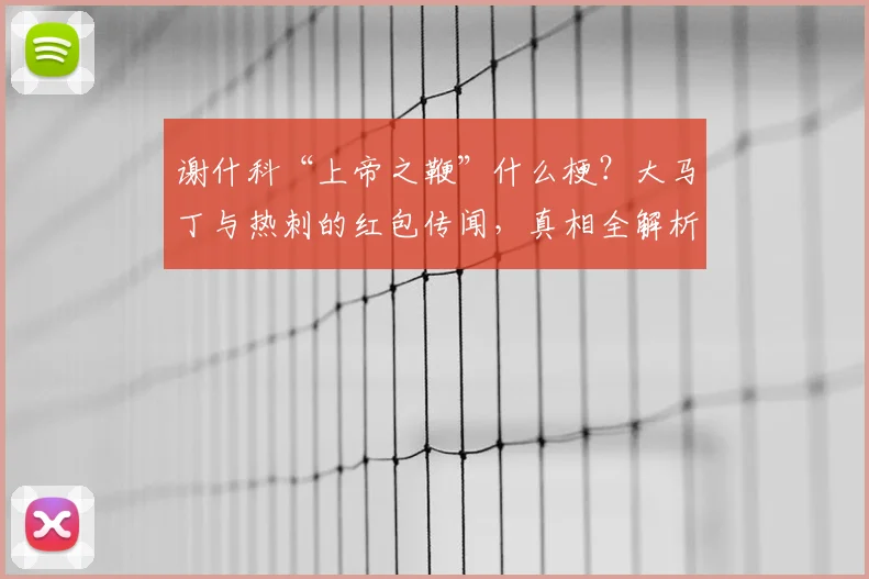 谢什科“上帝之鞭”什么梗？大马丁与热刺的红包传闻，真相全解析